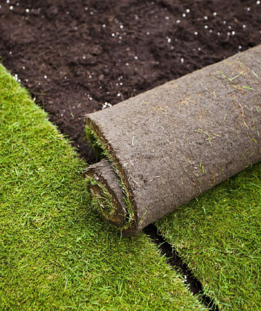Каталог газона: рулонный, искусственный и резиновое покрытие