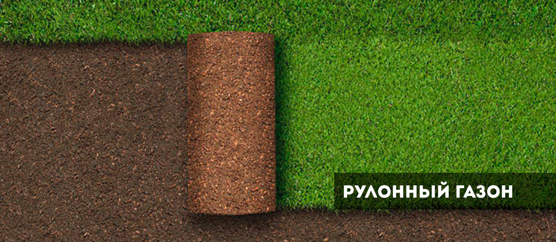 От чего зависит стоимость рулонного газона и процесс укладки