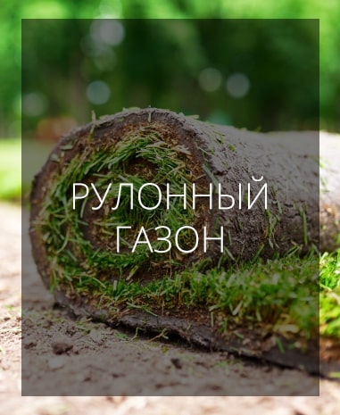 Укладка травы в рулонах (рулонный газон) под ключ в Беларуси